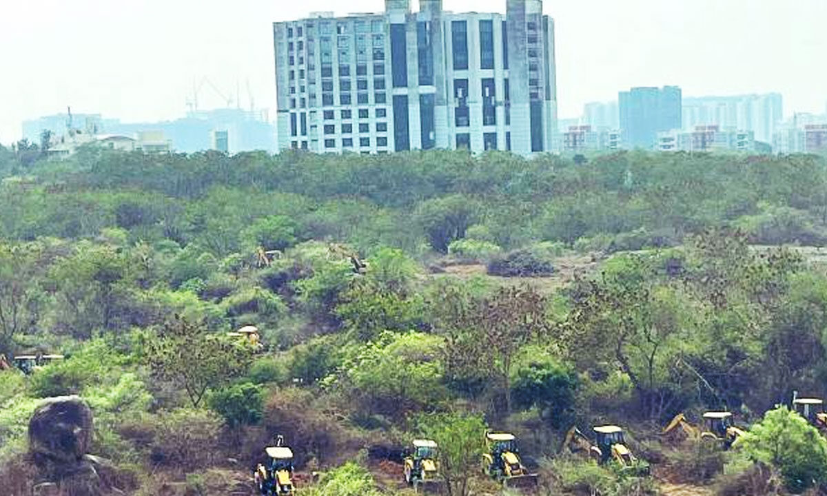 Hyderabad: Public Entry Restricted in Kancha Gachibowli Land Following Orders