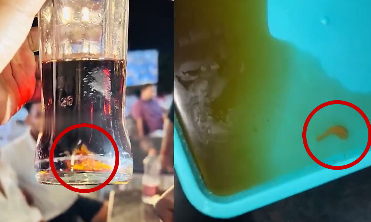 Hyderabad: Lizard Tail Found in Cold Drink Highway Restaurant: Shocking Video Goes Viral
