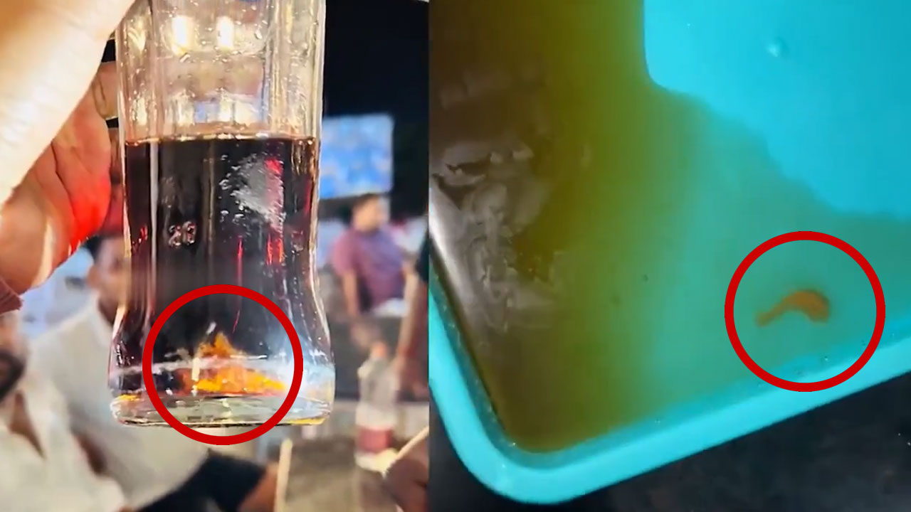 Hyderabad: Lizard Tail Found in Cold Drink Highway Restaurant: Shocking Video Goes Viral