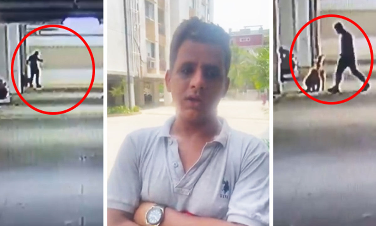 Hyderabad Man Brutally Kills Five Puppies, Shocking CCTV Footage Surfaces