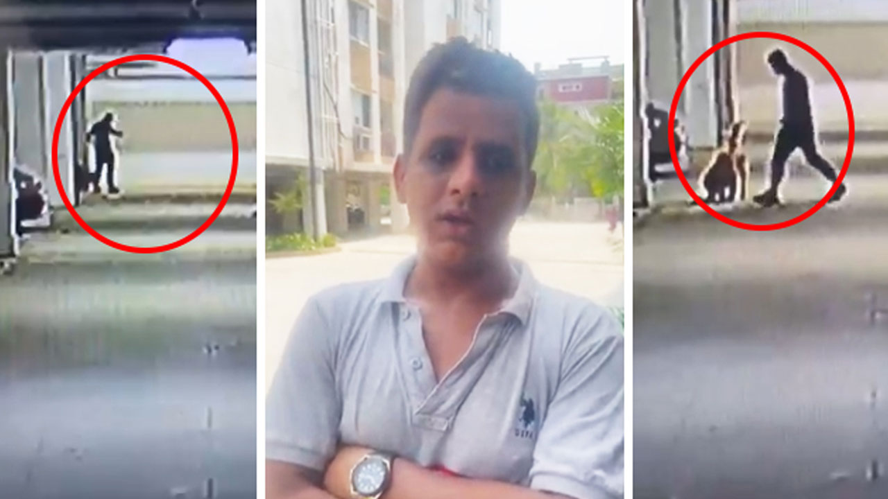 Hyderabad Man Brutally Kills Five Puppies, Shocking CCTV Footage Surfaces