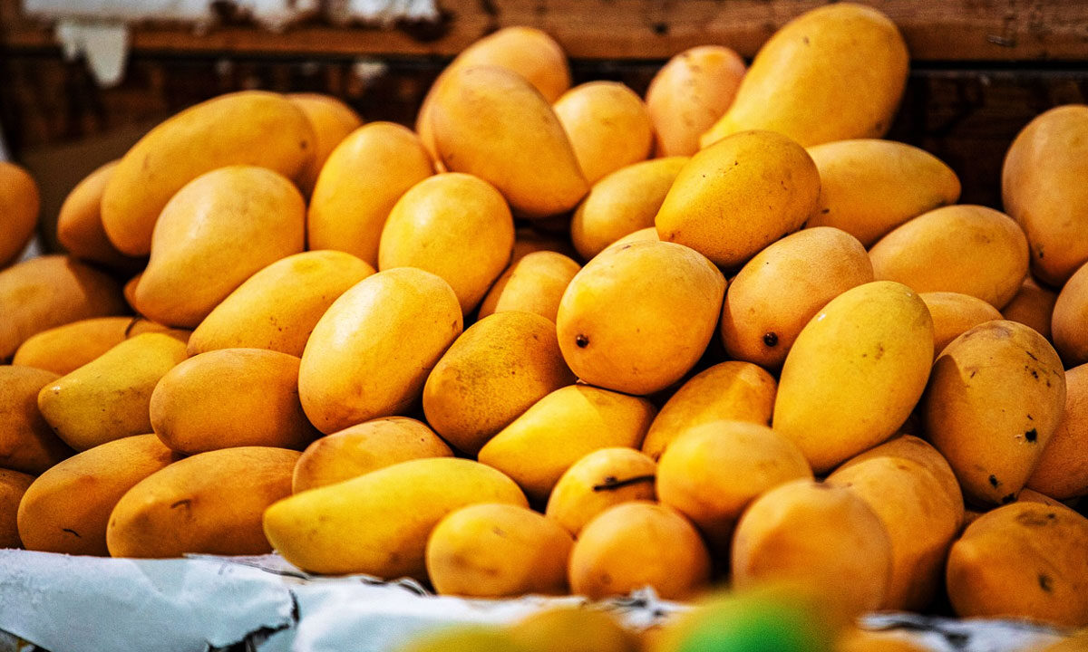 Hyderabad: Mango Prices Drop as Supply Increases