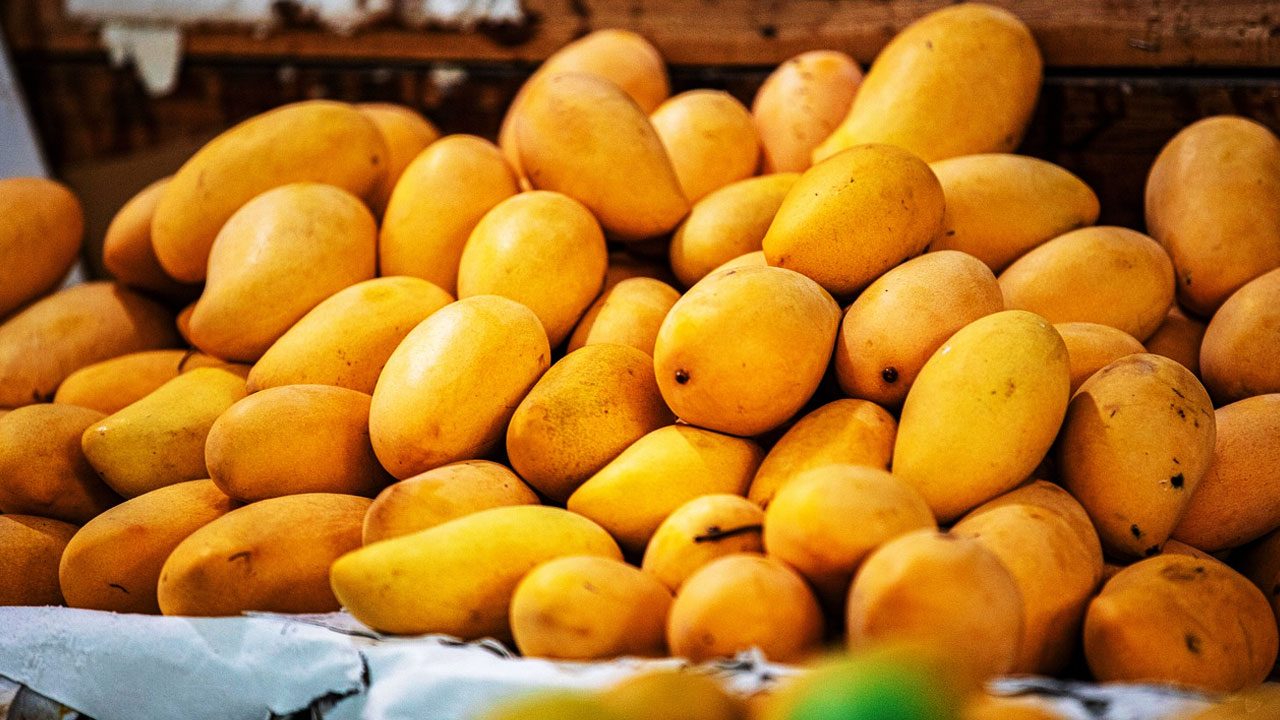 Hyderabad: Mango Prices Drop as Supply Increases