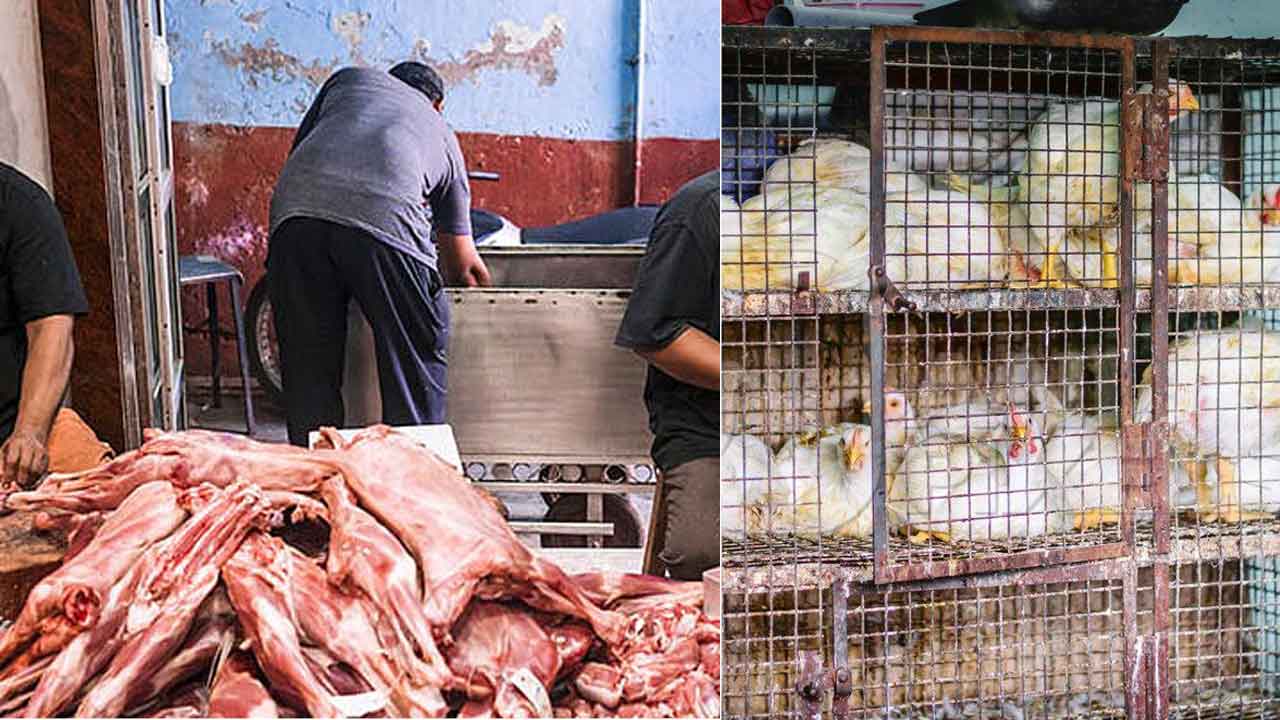 Hyderabad: Shocking News for Non-Veg Lovers – Meat Shops to Remain Closed on April 10