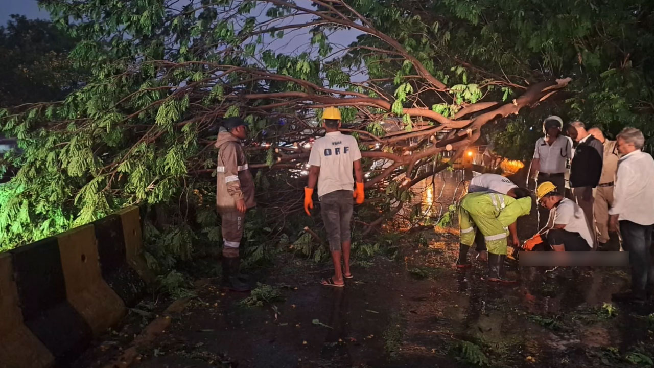 Hyderabad Rains Uproot 21 Trees Across City, HYDRA DRF Teams Spring into Action