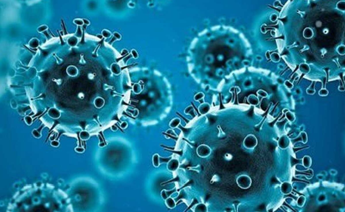India Records 257 New COVID-19 Cases, All Reported as Mild: Health Ministry