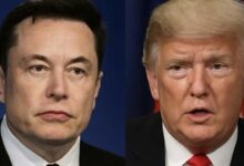 Elon Musk Steps Down as Trump Advisor, Ends Role as Special Government Employee