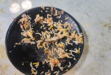 Hyderabad Biryani Horror: Lizard Found Cooked in Meal at Famous Mehfil Restaurant
