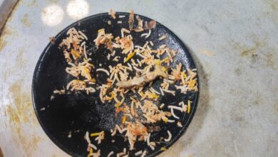 Hyderabad Biryani Horror: Lizard Found Cooked in Meal at Famous Mehfil Restaurant