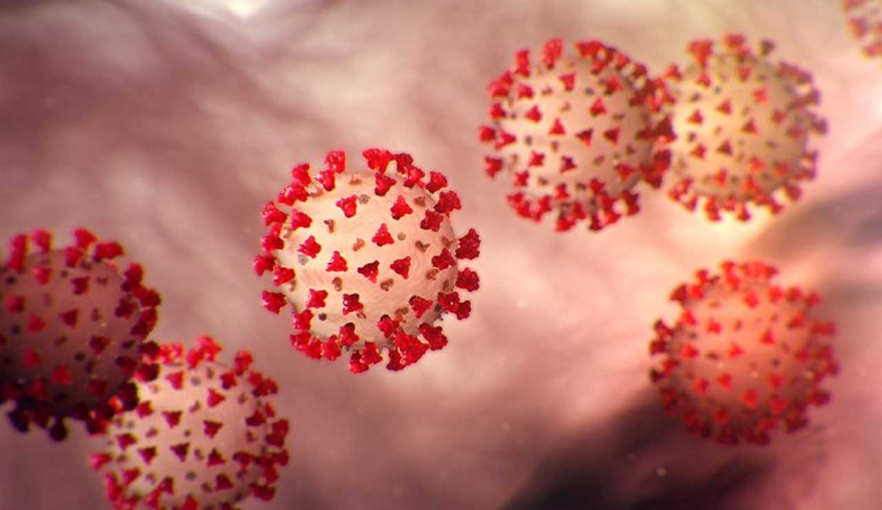 Maharashtra COVID Update: 21-Year-Old Dies Amid Rising Infections, Marks Fourth Death This Week