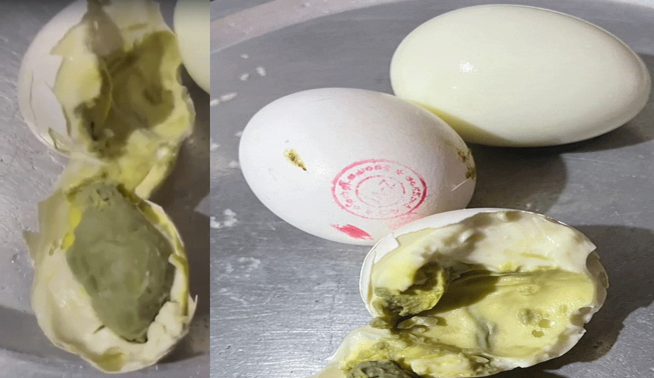Food Safety Scare at Hyderabad Anganwadi: Rotten Eggs Served to Young Kids