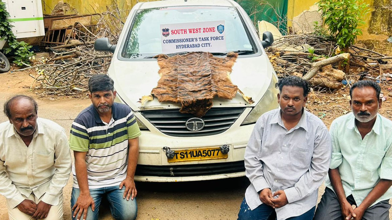Hyderabad Police Bust Fake Tiger Skin Racket, Four Arrested