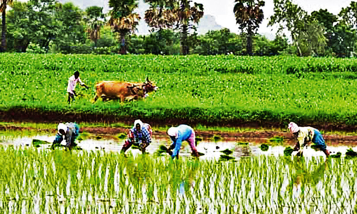 Telangana: Tenant Farmers Betrayed Again? Congress Faces Heat Over Broken Promises