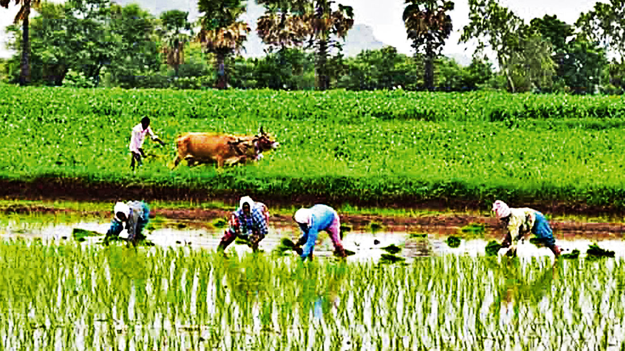 Telangana: Tenant Farmers Betrayed Again? Congress Faces Heat Over Broken Promises