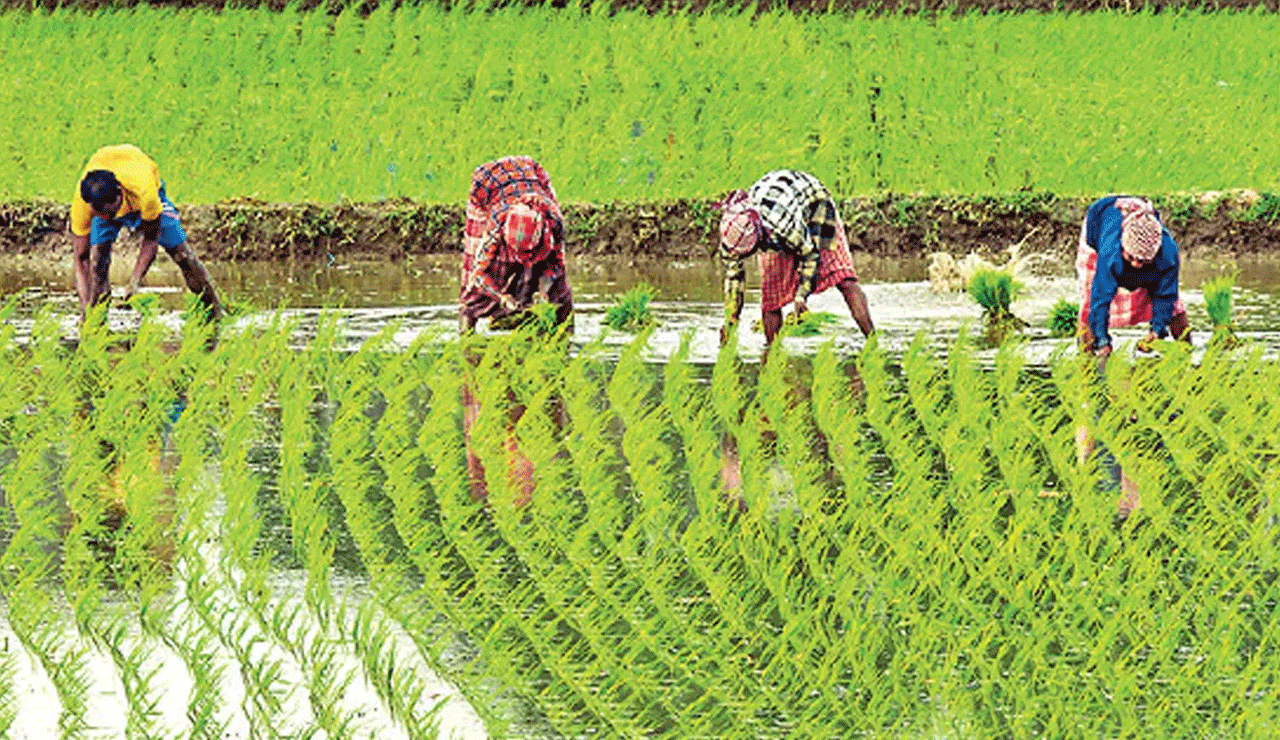 Telangana Farmers Question Delay in Rythu Bharosa Payments for Yasangi Season