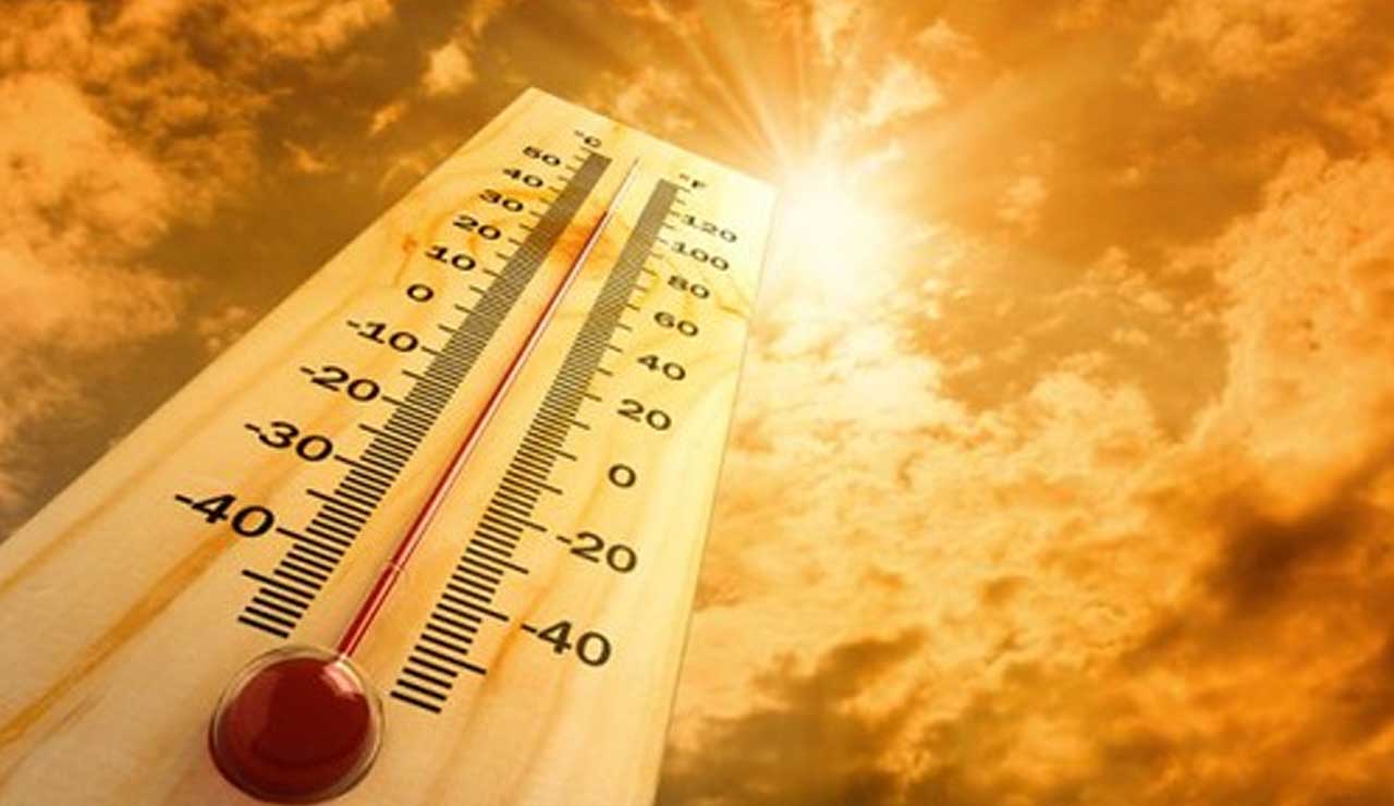 Telangana Heatwave Alert: IMD Warns 13 Districts, Government Launches Action Plan