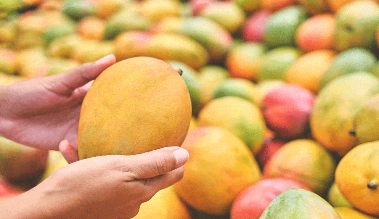 Ever Heard of the World’s Sweetest Mango? It’s Officially in the Guinness Book!