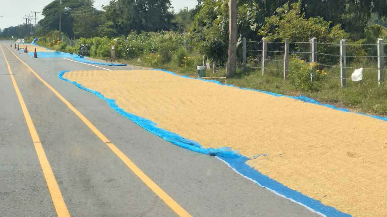 Drying Paddy on Roads Turns Deadly: 3 Killed in 10 Days