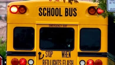 Telangana Transport Department Cracks Down on Unsafe School Buses Ahead of New Academic Year