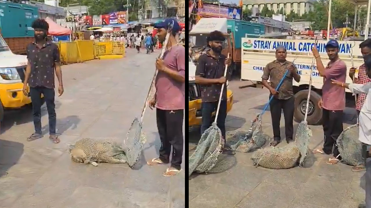Hyderabad: Charminar Cleared of Stray Dogs Ahead of Beauty Queens’ Visit