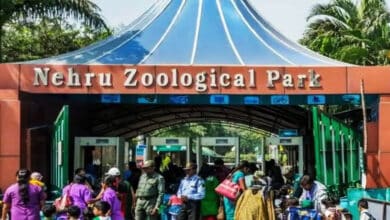 Nehru Zoo Park Draws 24,000 Visitors in a Day Amid Summer Holiday Rushes