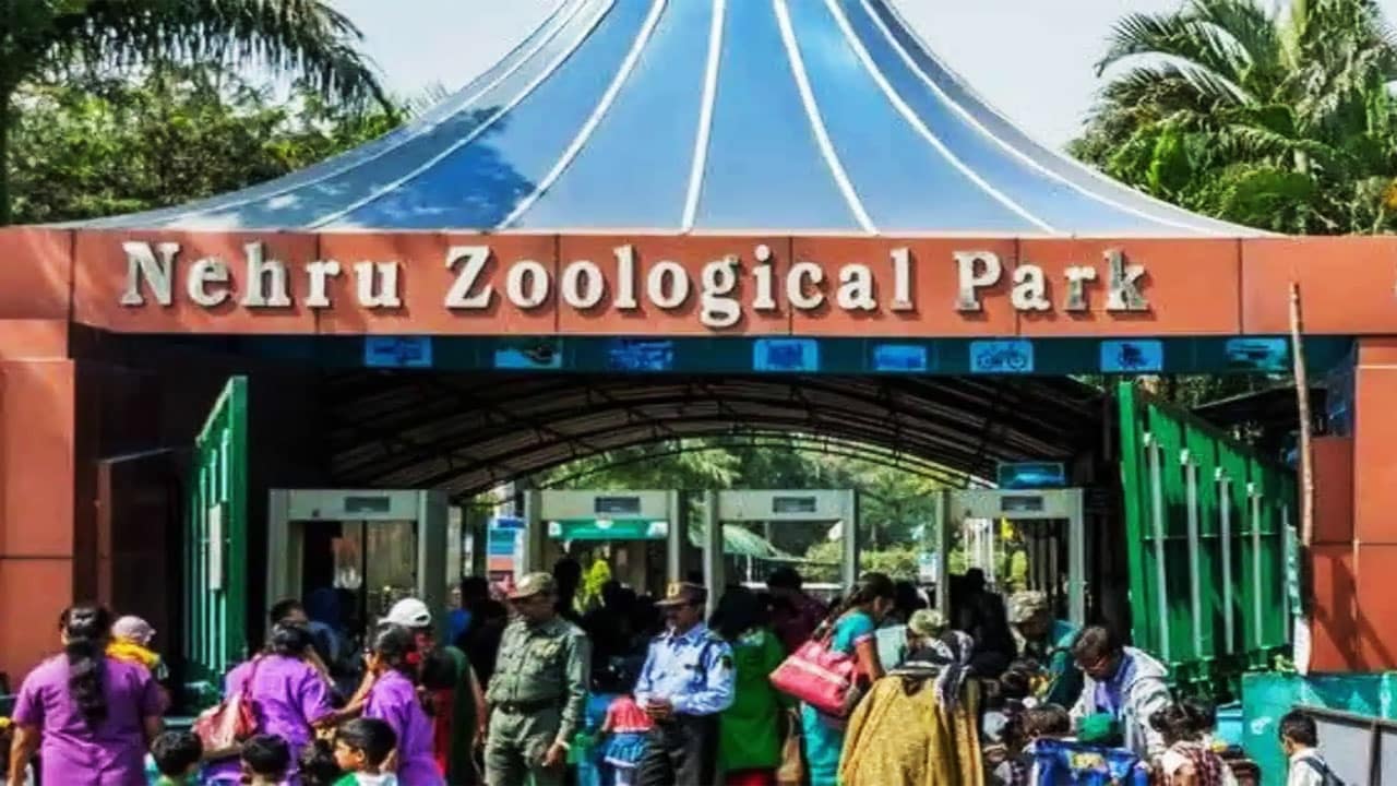Nehru Zoo Park Draws 24,000 Visitors in a Day Amid Summer Holiday Rushes