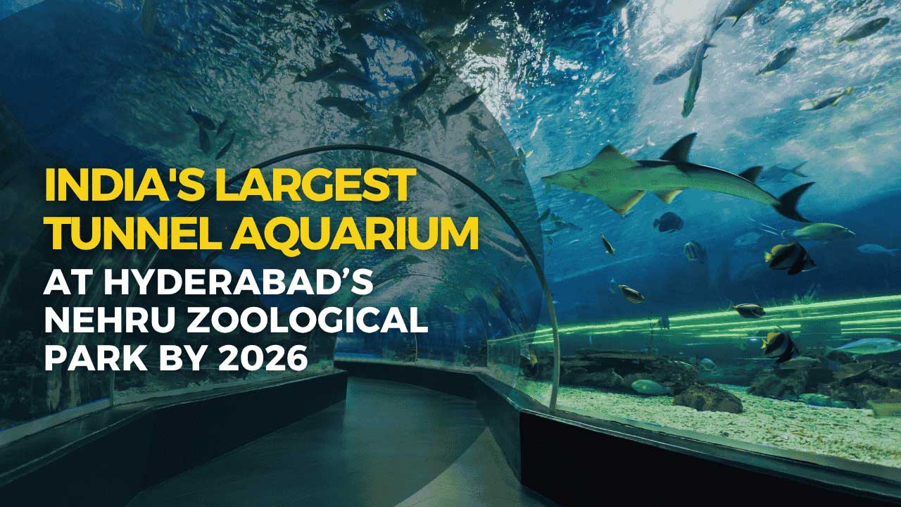 The city of Hyderabad is poised to make a significant splash in national tourism with the development of India's largest tunnel-style aquarium.