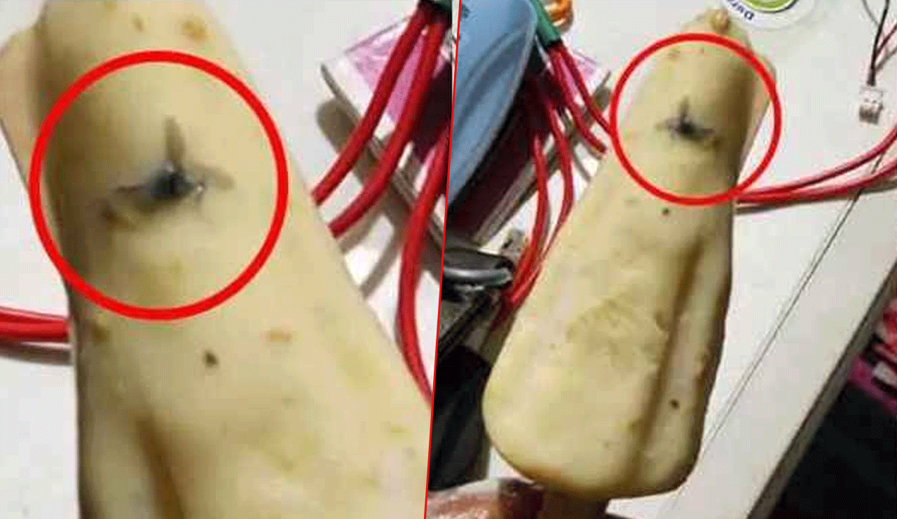Where is Food Safety? Fly in Ice Cream Exposes Official Negligence!