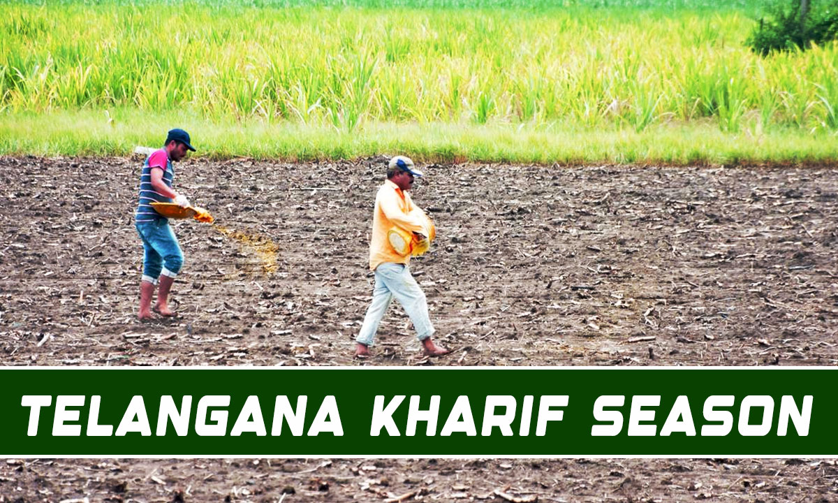 Telangana Kharif Season in Crisis Due to Poor Rainfall and Water Shortage