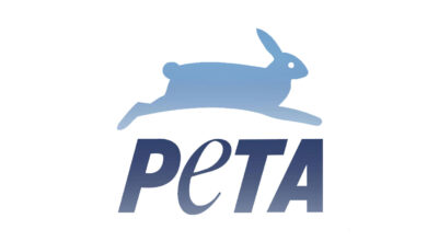 FIR Registered Over Goat Sacrifice at Karimnagar Temple After PETA Complaint