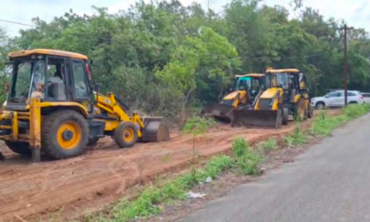 Hyderabad: Plants Uprooted in the Name of Plantation Drive at Rajendranagar University College