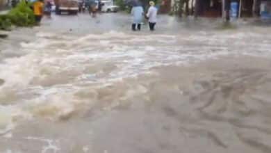 Telangana’s Warangal district lashed by heavy rains, low-lying areas inundated