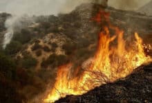 Fast-moving wildfire forces evacuations in Southern California