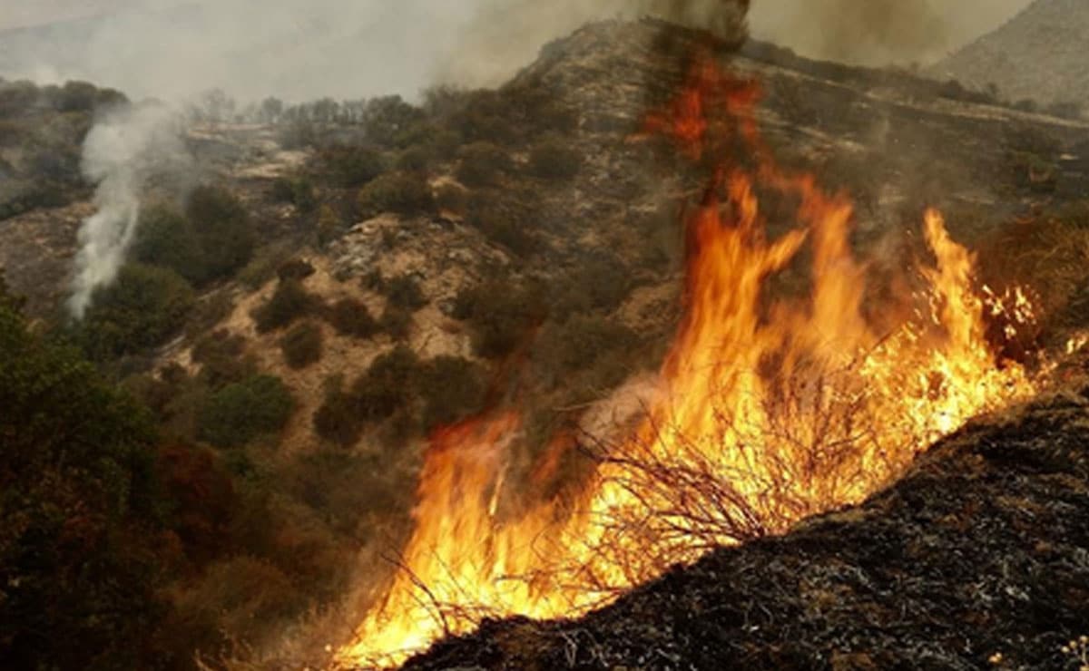 Fast-moving wildfire forces evacuations in Southern California