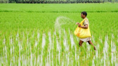 'No shortage of urea', Telangana Minister assures farmers