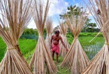 India bans imports of more goods from Bangladesh