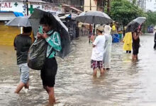 8 die as rain batters Maharashtra; heavy forecast in Mumbai, Thane, Palghar