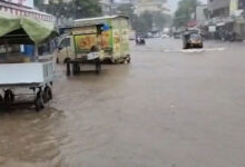 Maha rain fury: Govt offices, schools, colleges shut in Mumbai today; local trains hit