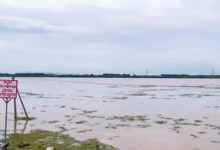 First flood warning issued at Bhadrachalam as Godavari's water level rises further