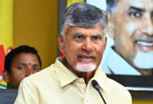 Andhra Pradesh: TDP wins two ZPTC seats