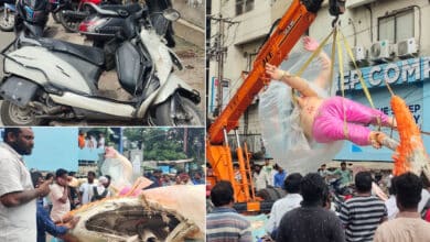 Hyderabad: Ganesh Idol Falls on Road in Himayatnagar, Several Bikes Damaged