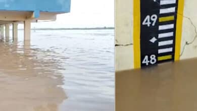 Bhadrachalam on High Alert as Godavari Swells to 48 Feet; Authorities Issue Second Warning, Ban Bathing & Boat Rides