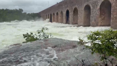 Hyderabad Rain: Eight Crest Gates of Himayat Sagar Opened as Heavy Inflows Continue