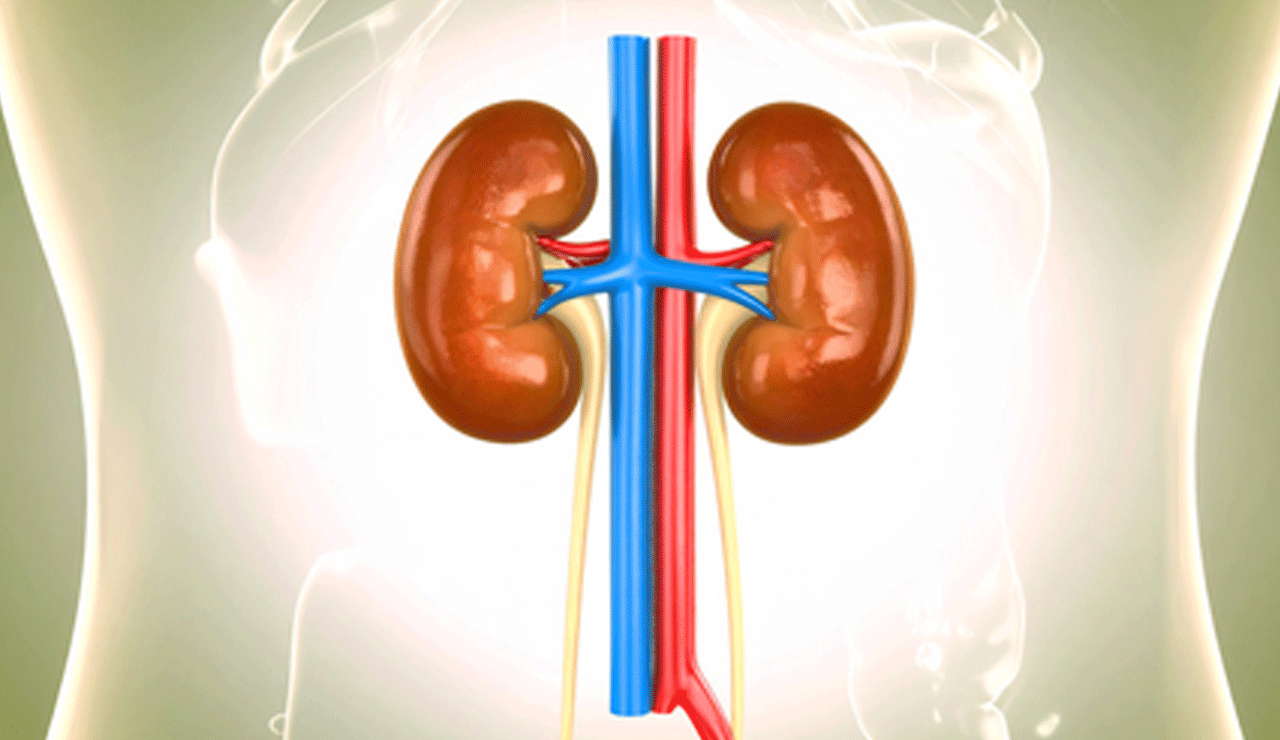 Scientists find biological signals to predict course of chronic kidney disease