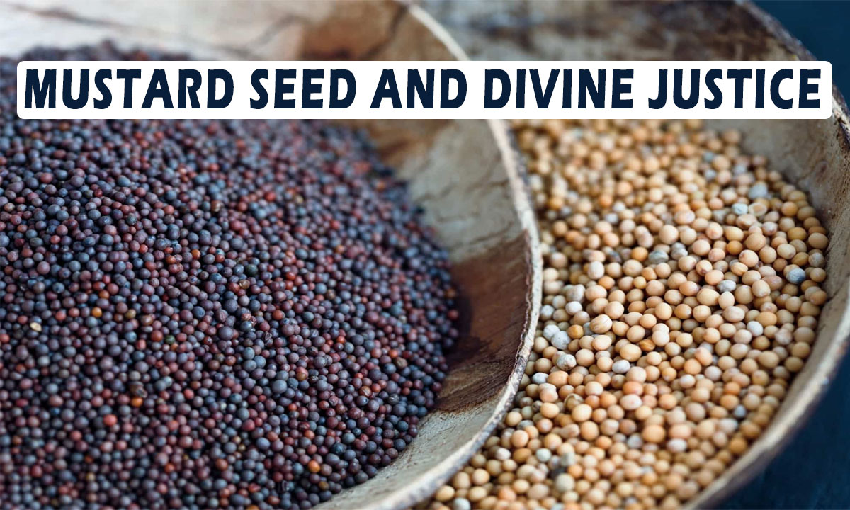 Mustard Seed and Divine Justice: Dr. Muhammad Iqtedar Husain Farooqi       