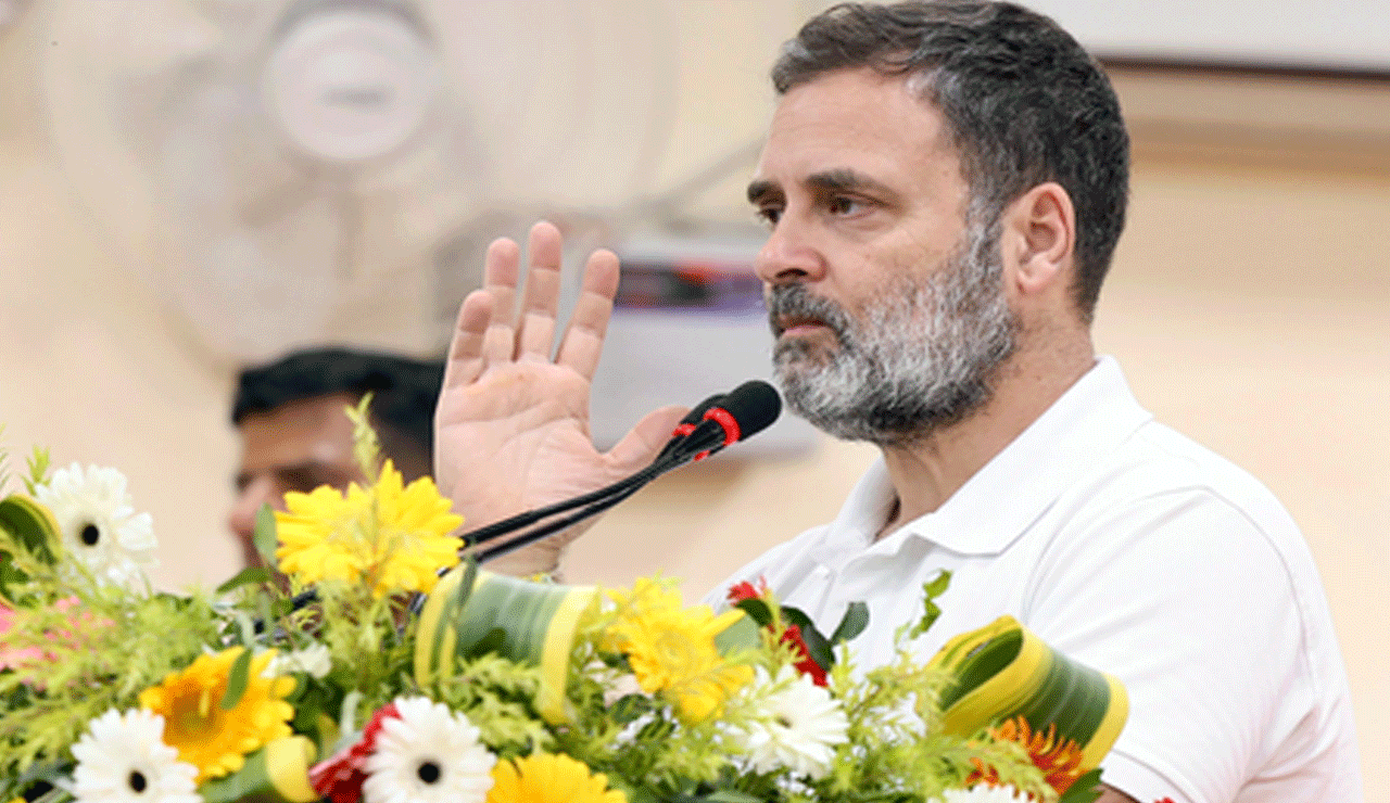 A step back from decades of humane, science-backed policy: LoP Rahul Gandhi on SC order to remove all stray dogs