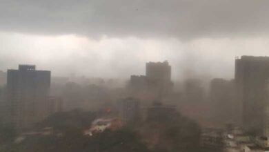 Telangana Rain Alert: 4 More Days of Downpour, Key Districts on High Alert