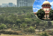 SC Orders Telangana to Revive Lost Green Cover in Kancha Gachibowli