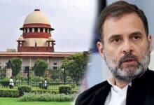 SC Order on Stray Dogs is a Step Back from Decades of Humane Approach, Says Rahul Gandhi