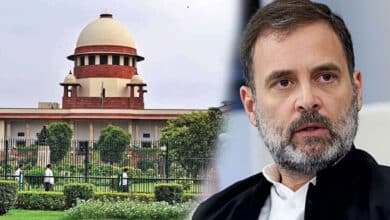SC Order on Stray Dogs is a Step Back from Decades of Humane Approach, Says Rahul Gandhi